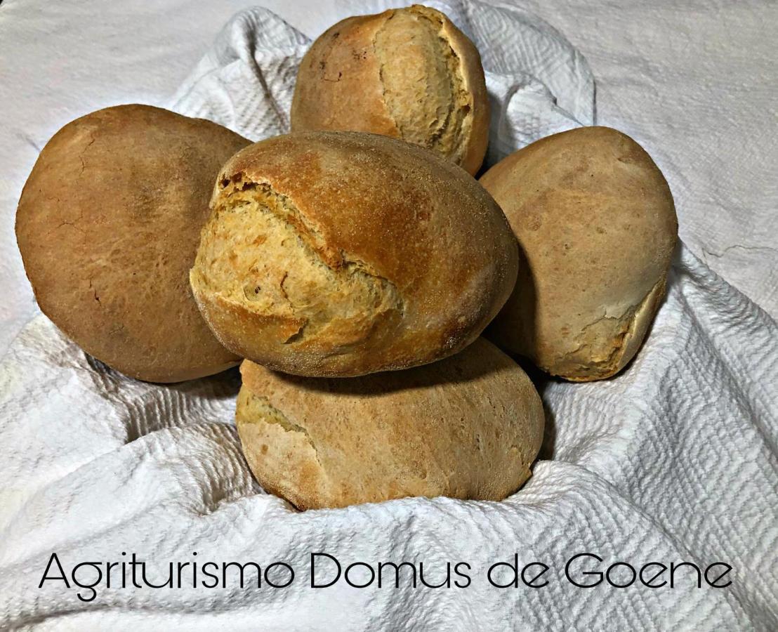 Domus De Goene *