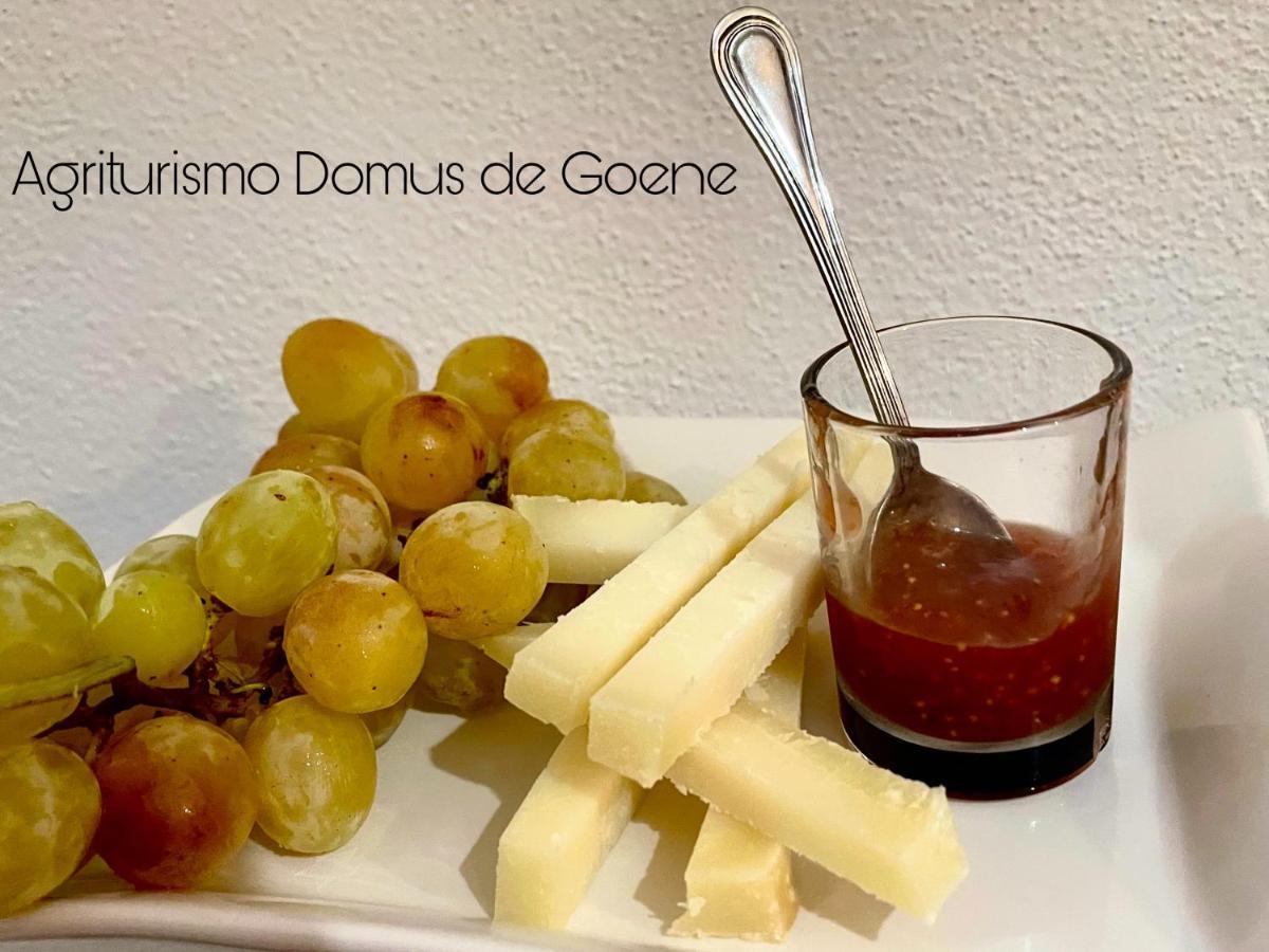 Alloggio per agriturismo Domus De Goene